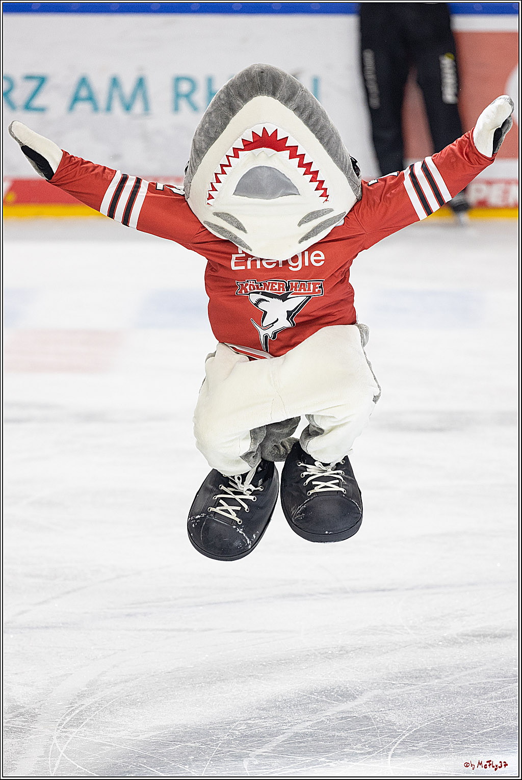 PENNY DEL;  Kölner Haie - Düsseldorfer EG; Köln, 16.12.2022